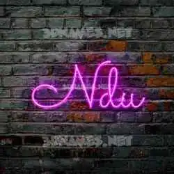 ndu in Pink Neon style - 3D name wallpaper