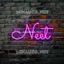 neet in Pink Neon style - 3D name wallpaper