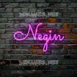 negin in Pink Neon style - 3D name wallpaper