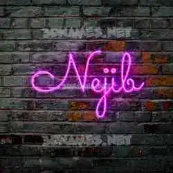 nejib in Pink Neon style - 3D name wallpaper