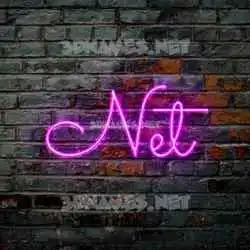 net in Pink Neon style - 3D name wallpaper