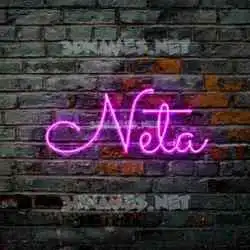 neta in Pink Neon style - 3D name wallpaper