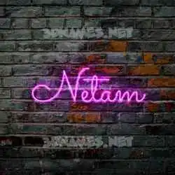 netam in Pink Neon style - 3D name wallpaper