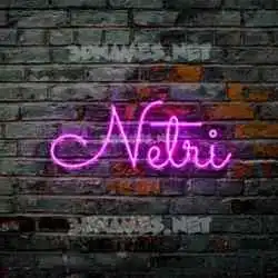 netri in Pink Neon style - 3D name wallpaper