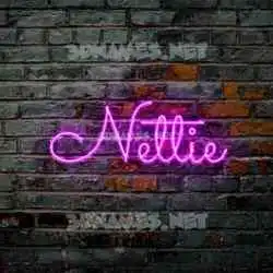 nettie in Pink Neon style - 3D name wallpaper