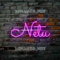 netu in Pink Neon style - 3D name wallpaper