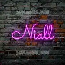 niall in Pink Neon style - 3D name wallpaper