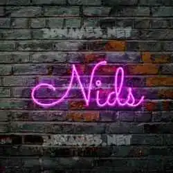 nids in Pink Neon style - 3D name wallpaper