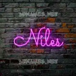 niles in Pink Neon style - 3D name wallpaper