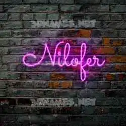 nilofer in Pink Neon style - 3D name wallpaper