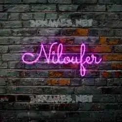 niloufer in Pink Neon style - 3D name wallpaper