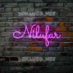nilufar in Pink Neon style - 3D name wallpaper