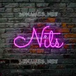 nits in Pink Neon style - 3D name wallpaper