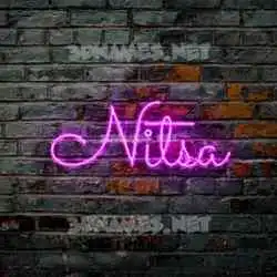 nitsa in Pink Neon style - 3D name wallpaper