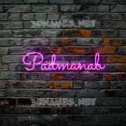 padmanab in Pink Neon style - 3D name wallpaper