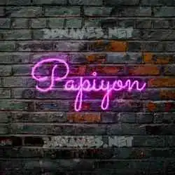 papiyon in Pink Neon style - 3D name wallpaper