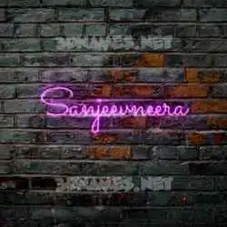 sanjeevneera in Pink Neon style - 3D name wallpaper