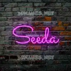 seeda in Pink Neon style - 3D name wallpaper
