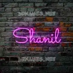 shanil in Pink Neon style - 3D name wallpaper