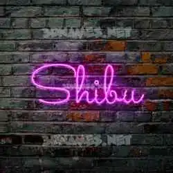 shibu in Pink Neon style - 3D name wallpaper