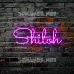 shiloh in Pink Neon style - 3D name wallpaper