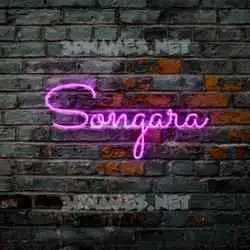 songara in Pink Neon style - 3D name wallpaper