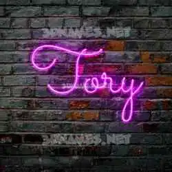 tory in Pink Neon style - 3D name wallpaper