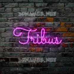 tribus in Pink Neon style - 3D name wallpaper