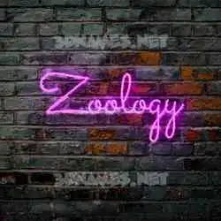 zoology in Pink Neon style - 3D name wallpaper