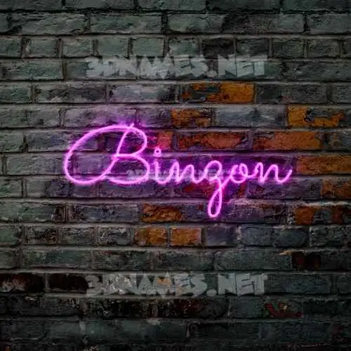 binzon in Pink Neon style - 3D name wallpaper