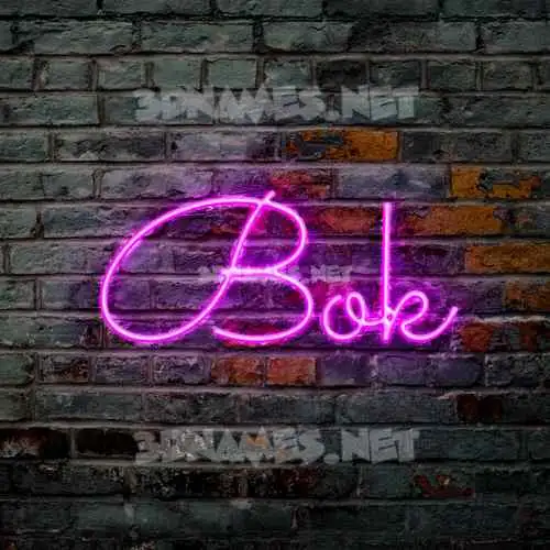 bok in Pink Neon style - 3D name wallpaper