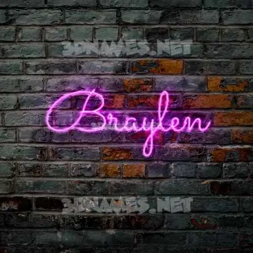 braylen in Pink Neon style - 3D name wallpaper braylen in Pink Neon style - 3D name wallpaper