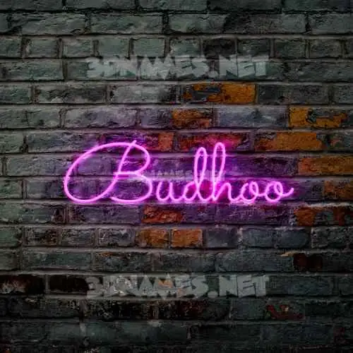 budhoo in Pink Neon style - 3D name wallpaper budhoo in Pink Neon style - 3D name wallpaper