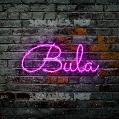 bula in Pink Neon style - 3D name wallpaper bula in Pink Neon style - 3D name wallpaper
