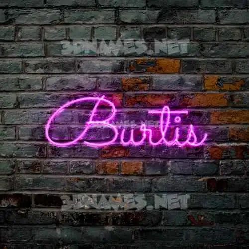 burtis in Pink Neon style - 3D name wallpaper burtis in Pink Neon style - 3D name wallpaper
