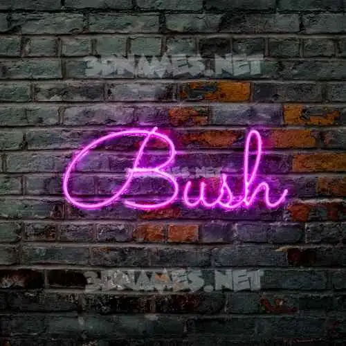 bush in Pink Neon style - 3D name wallpaper