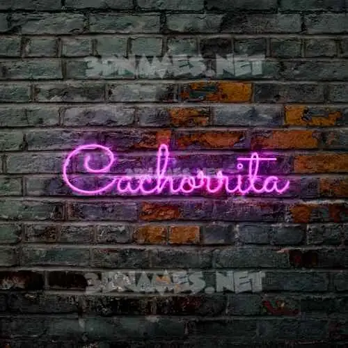 cachorrita in Pink Neon style - 3D name wallpaper cachorrita in Pink Neon style - 3D name wallpaper