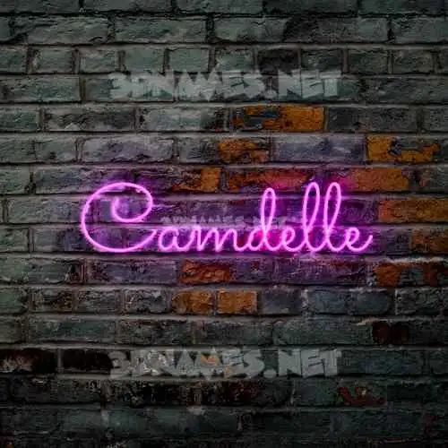camdelle in Pink Neon style - 3D name wallpaper camdelle in Pink Neon style - 3D name wallpaper
