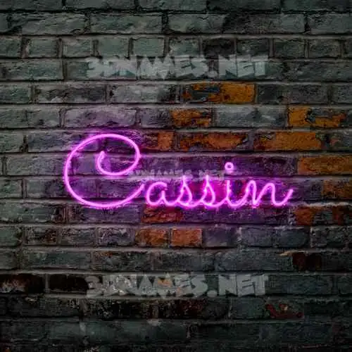 cassin in Pink Neon style - 3D name wallpaper cassin in Pink Neon style - 3D name wallpaper