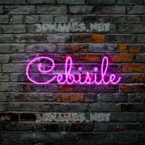 cebisile in Pink Neon style - 3D name wallpaper cebisile in Pink Neon style - 3D name wallpaper