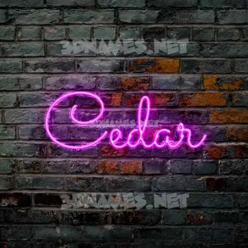 cedar in Pink Neon style - 3D name wallpaper cedar in Pink Neon style - 3D name wallpaper