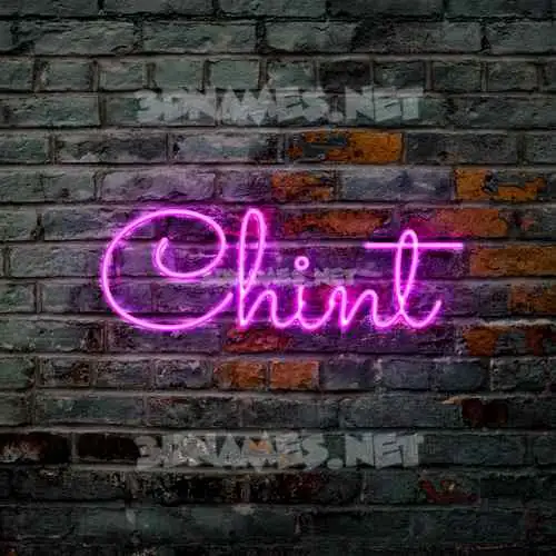 chint in Pink Neon style - 3D name wallpaper