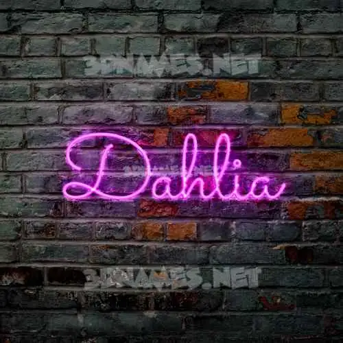 dahlia in Pink Neon style - 3D name wallpaper dahlia in Pink Neon style - 3D name wallpaper