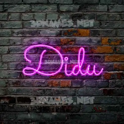 didu in Pink Neon style - 3D name wallpaper didu in Pink Neon style - 3D name wallpaper