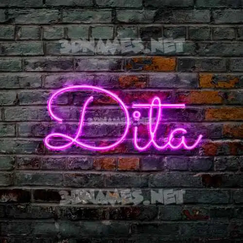 dita in Pink Neon style - 3D name wallpaper dita in Pink Neon style - 3D name wallpaper