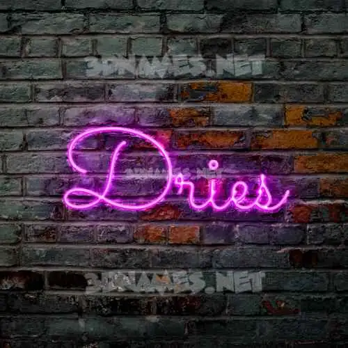 dries in Pink Neon style - 3D name wallpaper dries in Pink Neon style - 3D name wallpaper