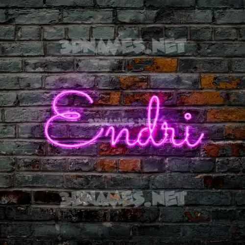 endri in Pink Neon style - 3D name wallpaper