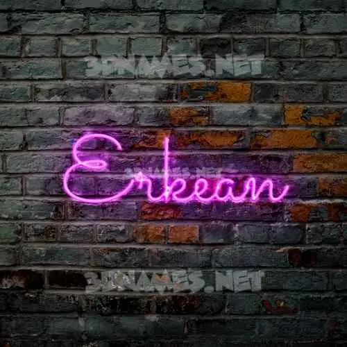 erkean in Pink Neon style - 3D name wallpaper erkean in Pink Neon style - 3D name wallpaper