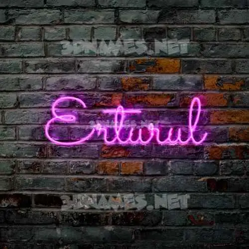erturul in Pink Neon style - 3D name wallpaper erturul in Pink Neon style - 3D name wallpaper