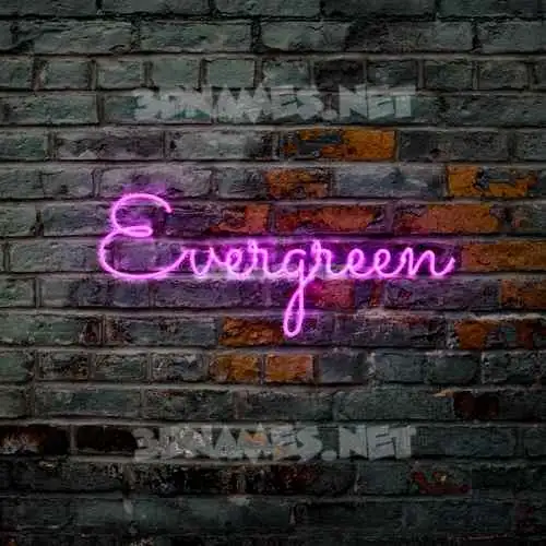 evergreen in Pink Neon style - 3D name wallpaper evergreen in Pink Neon style - 3D name wallpaper